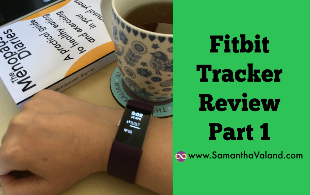 Fitbit Tracker Review Part 1