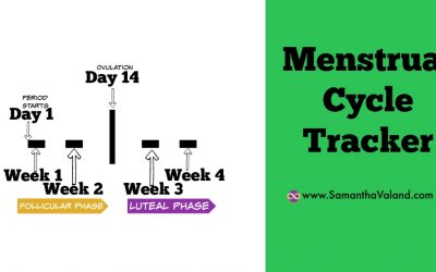 Menstrual Cycle Tracker (MCT)