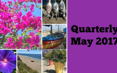 Quarterly May 2017